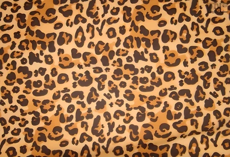 Top Left